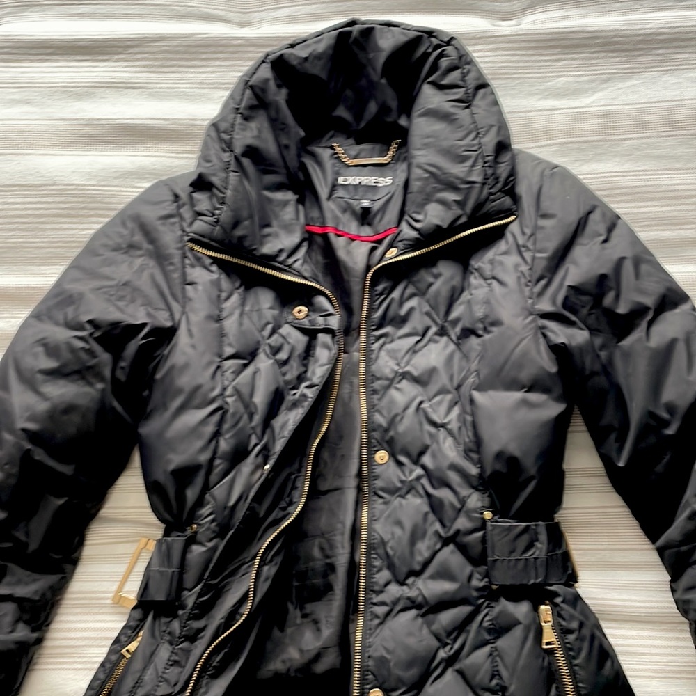 Express Winter Jacket - Picture 5 of 11